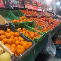 فروش کلیه وسایل میوه فروشی