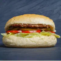 همبرگر لذیذ و خوشمزه