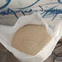برنج علی کاظمی