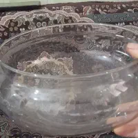 وسیله خانه|ماهی|خرم‌آباد, |دیوار