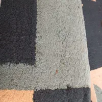 قالی ماشینی|فرش|اهواز, پردیس دو|دیوار