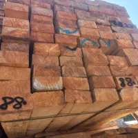 فروش مستقیم چوب روسی از بندر