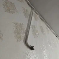 استخدام نیروی کار