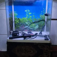 آکواریوم دلسا