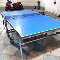میز پینگ پنگ