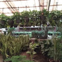 خدمات باغچه انجام میشود