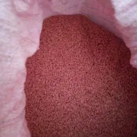 گندم درجه یک|حراج|نورآباد, |دیوار