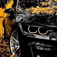 نیرو کار جهت کارواش