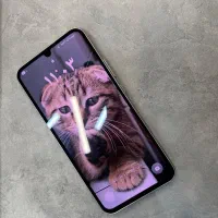 A 34|موبایل|نوشهر, |دیوار