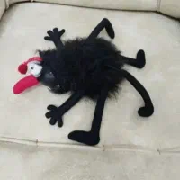 عنکبوت پولیش