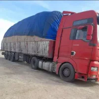 سفال، کاه نیشکر فله خوراک دام باگاس خوراکی|لوازم جانبی حیوانات|رباطکریم, رباطکریم|دیوار