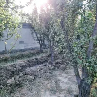 باغچه زمین باغ فروش فوری اسکمان