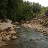 اجاره منزل و سوییت