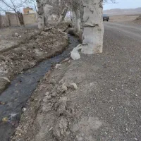 یک قطعه زمین واقع در زینبه باغستان علیا