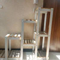 تعدادی گل طبیعی واستندگل