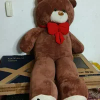 خرس بزرگ نو