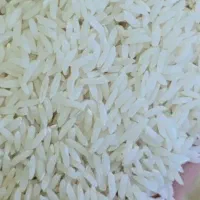 پخش مستقیم/برنج هاشمی/گیلان/آستانه اشرفیه