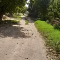 ۲۲من باغ میوه