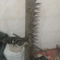 فروش علف بر 602ایتالیایی
