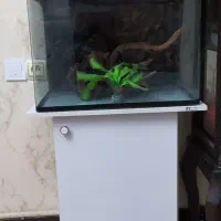 پایه آکواریوم ، آکواریوم شیشه خم