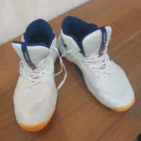 کفش والیبال