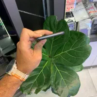 Iphone 8 plus|موبایل|رشت, چله خانه|دیوار