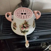 کتری  رو‌گازی استیل کف چدنی دکوپاژ  زیباشده