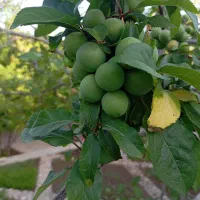 ۲ساعت آب فروشی ازچاه شهید حیدری اسفدن