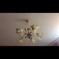 لوستر نوی نو