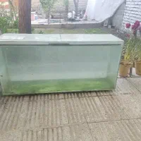 اکواریم