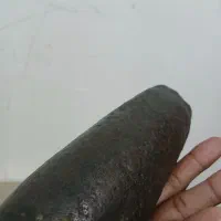 شهاب سنگ|کلکسیون اشیاء عتیقه|میناب, |دیوار