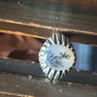 انگشترشجر