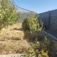 باغ 420متری قیمت 500ملیون ازیران