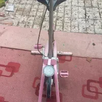 دوچرخه ورزشی