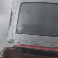 تلویزیون