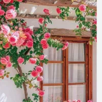 راهنمایی کنید