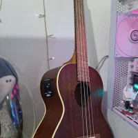 اوکوله‌له / یوکللی / Ukulele|گیتار، بیس، امپلیفایر|کرج, کیانمهر|دیوار