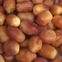 قصب رطبی