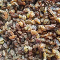 کشمش ابگیری (سرکه ی)