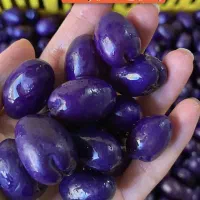 زیتون کرمونی