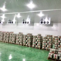 5657 مونتاژ و فروش انواع 5657 سردخانه 5657