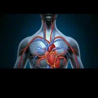 اموزش در منزل رایگان و انلاین