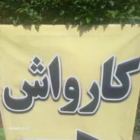 کارگر کارواش