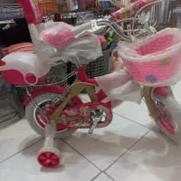 دوچرخه اکی|دوچرخه، اسکیت، اسکوتر|نجفآباد, ویلاشهر|دیوار