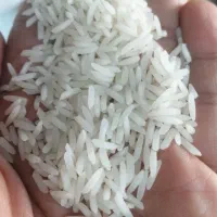 برنج طارم محلی معطر