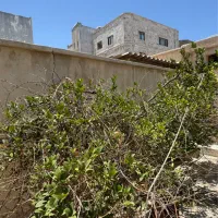 ویلایی خیابان گمرک