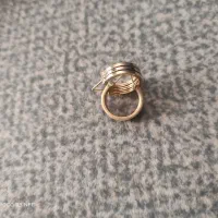 گوشواره و سکه پارسیان