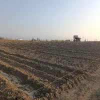 اجاره زمین برای کشت محصول