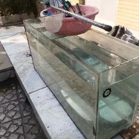 آکواریم|ماهی|مبارکه, |دیوار