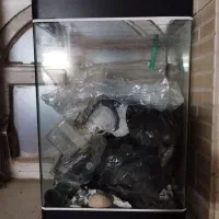 آکواریوم با ملزومات